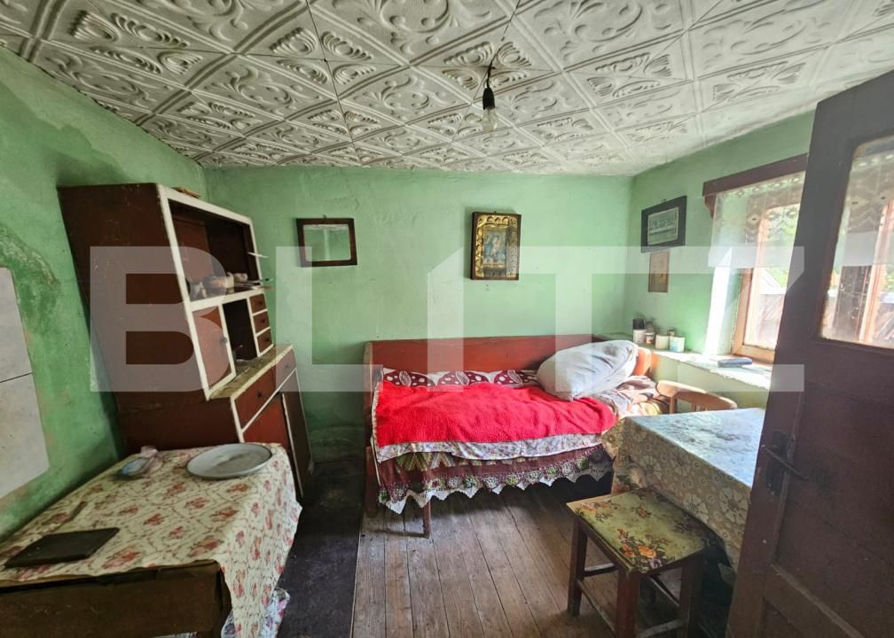 Casa de vânzare 3 camere Capalna - 198456CV | BLITZ Alba Iulia | Poza11