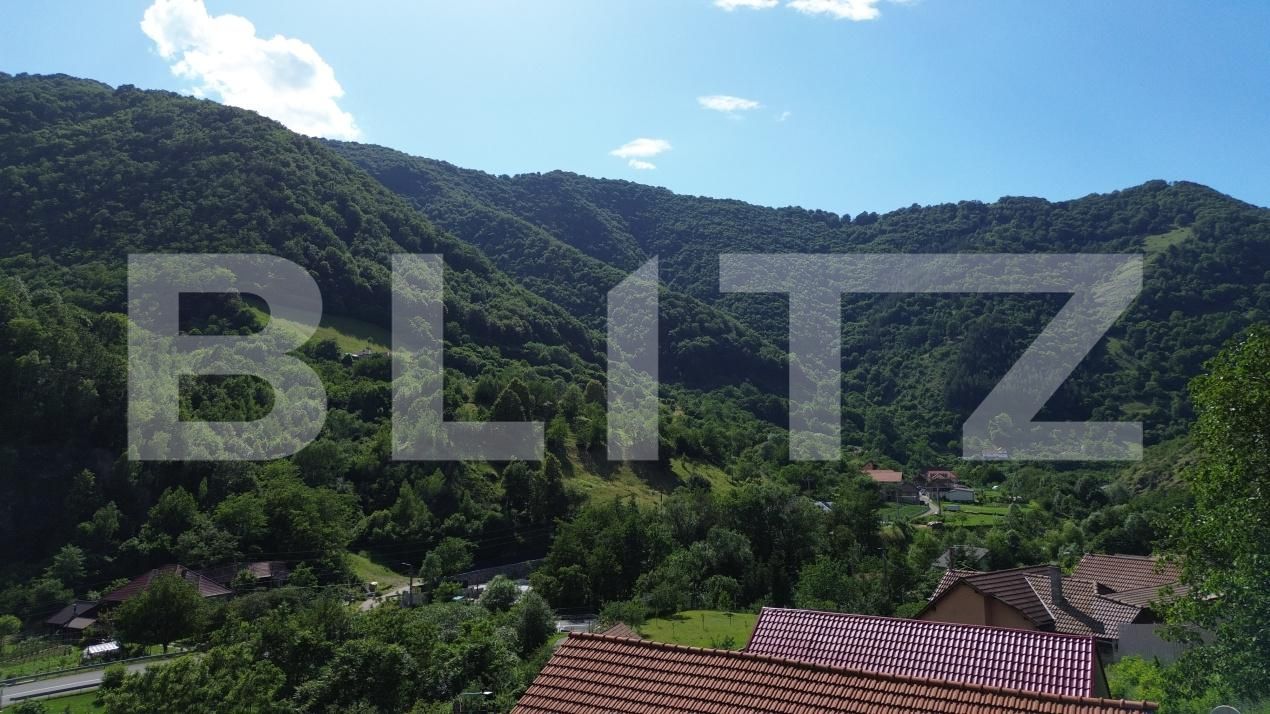Casa de vânzare 3 camere Capalna - 198456CV | BLITZ Alba Iulia | Poza6