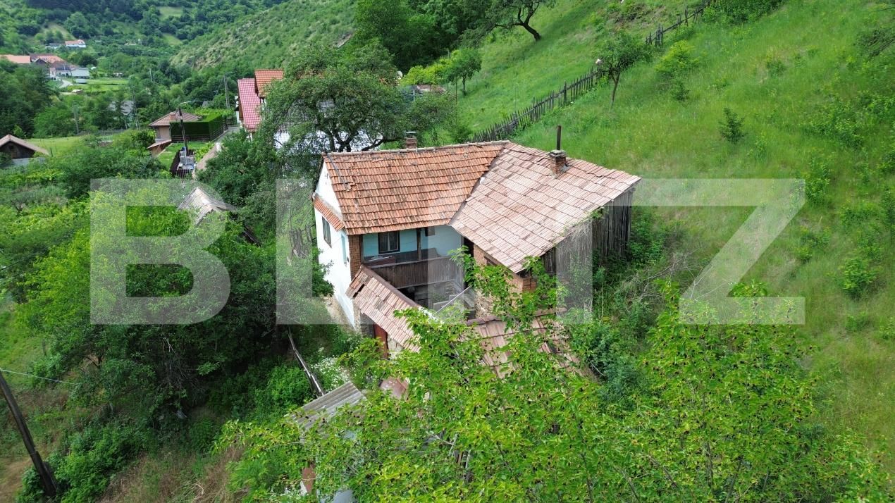 Casa de vânzare 3 camere Capalna - 198456CV | BLITZ Alba Iulia | Poza8