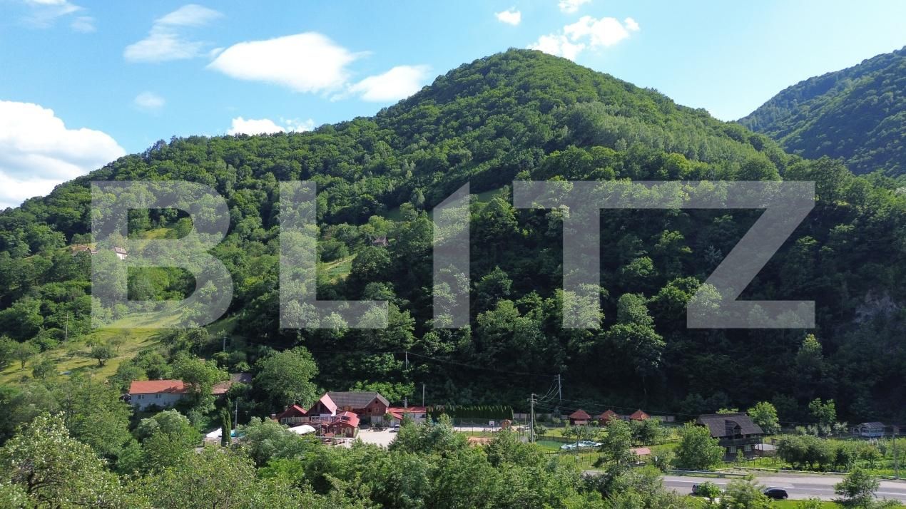 Casa de vânzare 3 camere Capalna - 198456CV | BLITZ Alba Iulia | Poza7