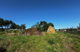 Teren intravilan de 1803 mp, Oarda de Sus - Alba Iulia