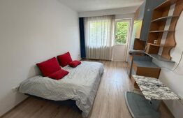 Apartament cu 2 camere, 55 mp utili, zona Cetate