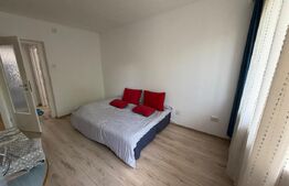 Apartament cu 2 camere, 55 mp utili, Cetate