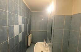 Spatiu comercial, 50 mp utili, zona Cetate