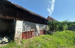 Casa de renovat 100 mp, 200 mp teren, zona Vinerea - Cugir