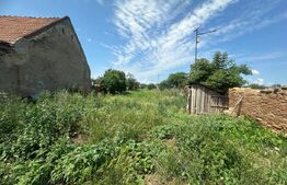 Casa de renovat 100 mp, 200 mp teren, zona Vinerea - Cugir