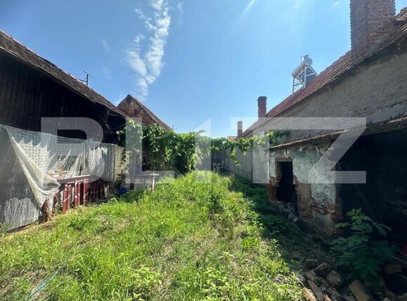 Casa de vânzare 3 camere Vinerea - 199037CV | BLITZ Alba Iulia | Poza8