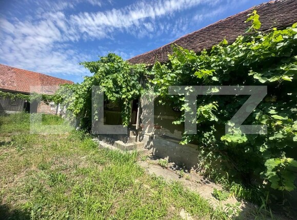 Casa de vânzare 3 camere Vinerea - 199037CV | BLITZ Alba Iulia | Poza1