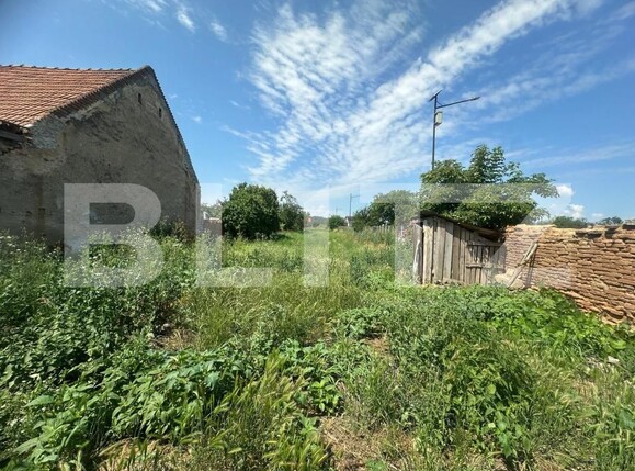 Casa de vânzare 3 camere Vinerea - 199037CV | BLITZ Alba Iulia | Poza2