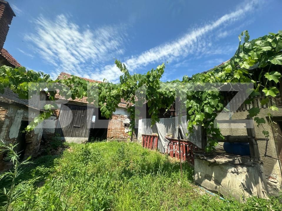 Casa de vânzare 3 camere Vinerea - 199037CV | BLITZ Alba Iulia | Poza6