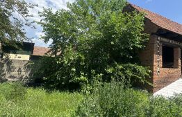 Casa la rosu, 100 mp, 1200mp teren, zona Vinerea - Cugir
