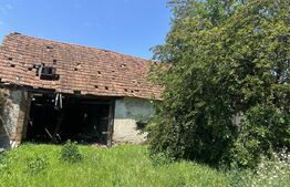 Casa la rosu, 100 mp, 1200mp teren, zona Vinerea - Cugir