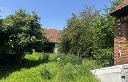 Casa la rosu, 100 mp, 1200mp teren, zona Vinerea - Cugir