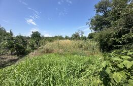 Casa la rosu, 100 mp, 1200mp teren, zona Vinerea - Cugir
