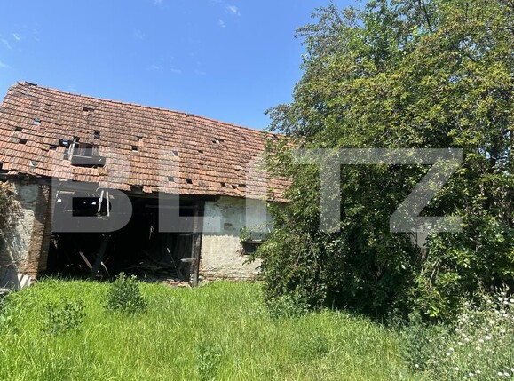 Casa de vânzare 4 camere Vinerea - 199039CV | BLITZ Alba Iulia | Poza4