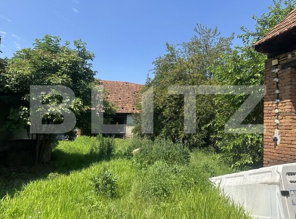 Casa de vânzare 4 camere Vinerea - 199039CV | BLITZ Alba Iulia | Poza2