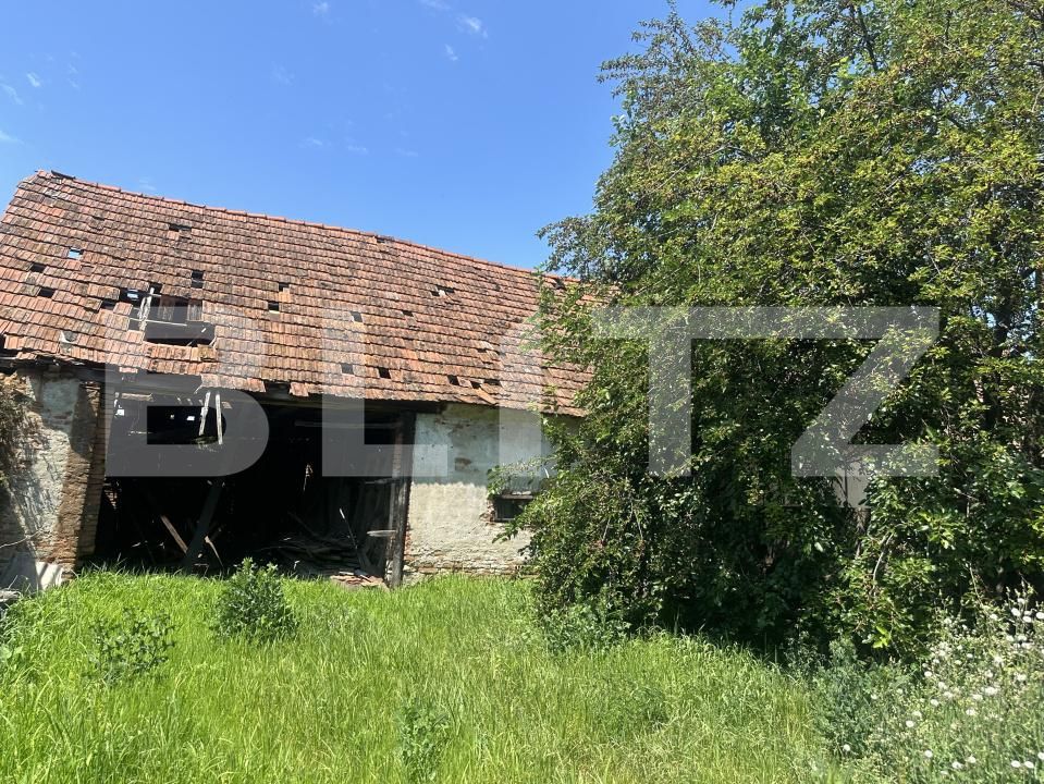 Casa de vânzare 4 camere Vinerea - 199039CV | BLITZ Alba Iulia | Poza4