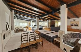 Spațiu comercial 620 mp, fost restaurant, 5 încăperi, 2 birouri, zona Sebeș