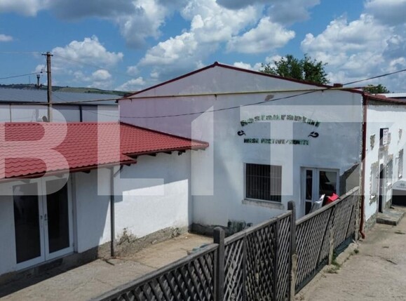 Spațiu industrial de vânzare Sebeș - 199059SVI | BLITZ Alba Iulia | Poza8