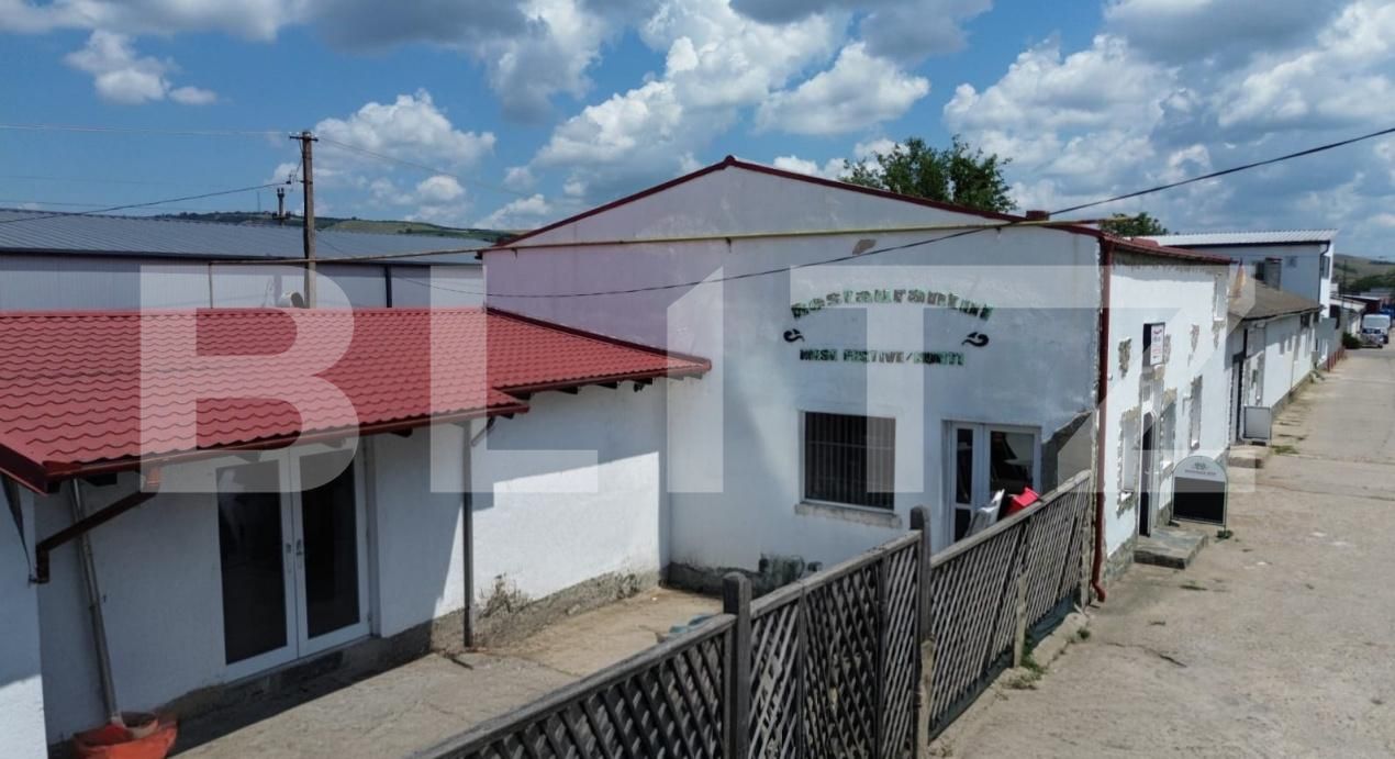 Spațiu industrial de vânzare Sebeș - 199059SVI | BLITZ Alba Iulia | Poza8