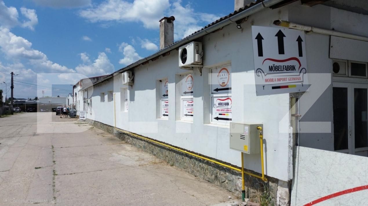 Spațiu industrial de vânzare Sebeș - 199059SVI | BLITZ Alba Iulia | Poza6