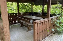 Casă de vânzare, 163 mp, zona Ponorel, comuna Vidra, județul Alba 