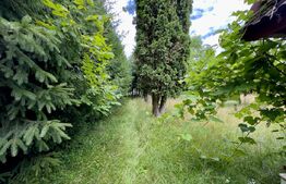 Casă de vânzare, 163 mp, zona Ponorel, comuna Vidra, județul Alba 