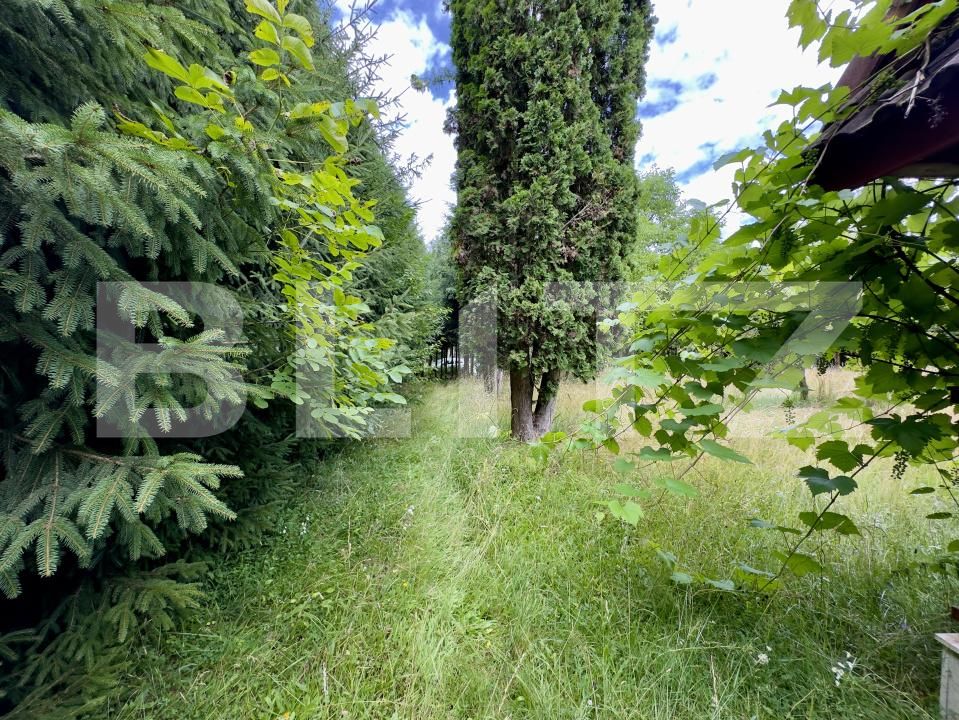 Casa de vânzare 6 camere Ponorel - 199513CV | BLITZ Alba Iulia | Poza11