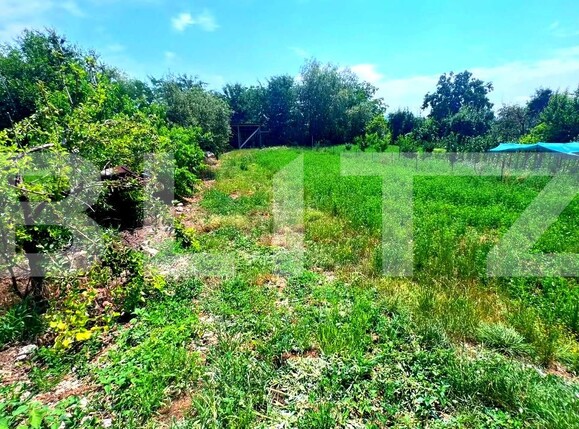 Casa de vânzare 3 camere Cricau - 199574CV | BLITZ Alba Iulia | Poza3