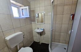 Casă renovată, 4.237mp teren intravilan, dublu front stradal, Războieni-Cetate