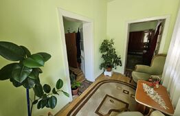 Casă renovată, 4.237mp teren intravilan, dublu front stradal, Războieni-Cetate