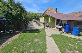Casă renovată, 4.237mp teren intravilan, dublu front stradal, Războieni-Cetate
