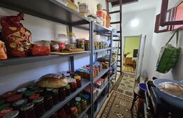 Casă renovată, 4.237mp teren intravilan, dublu front stradal, Războieni-Cetate