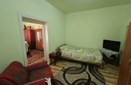 Casă renovată, 4.237mp teren intravilan, dublu front stradal, Războieni-Cetate