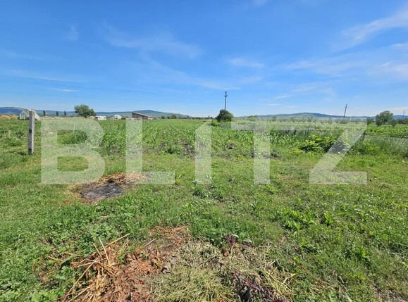 Casa de vânzare 3 camere Ocna Mures - 199602CV | BLITZ Alba Iulia | Poza21