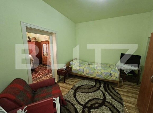Casa de vânzare 3 camere Ocna Mures - 199602CV | BLITZ Alba Iulia | Poza7