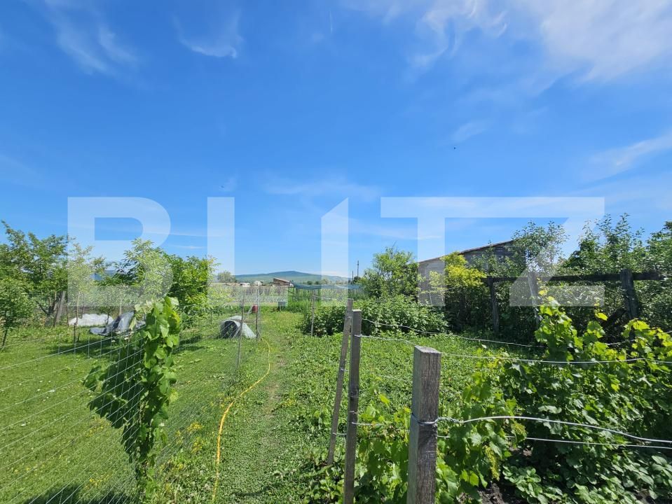 Casa de vânzare 3 camere Ocna Mures - 199602CV | BLITZ Alba Iulia | Poza20