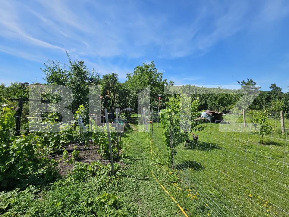 Casa de vânzare 3 camere Ocna Mures - 199602CV | BLITZ Alba Iulia | Poza18