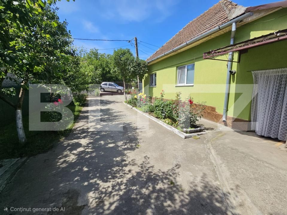 Casa de vânzare 3 camere Ocna Mures - 199602CV | BLITZ Alba Iulia | Poza3