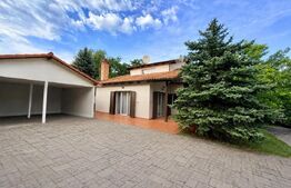 Casa 5 dormitoare, 300 mp, subsol, teren 2026 mp, zona Cetate