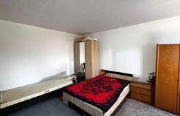 Apartament decomandat cu 2 camere, 57 mp, etaj 1, zona Sub Bazinul Olimpic 