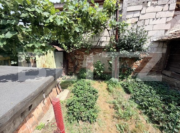 Casa de vânzare 4 camere Cugir - 199748CV | BLITZ Alba Iulia | Poza11