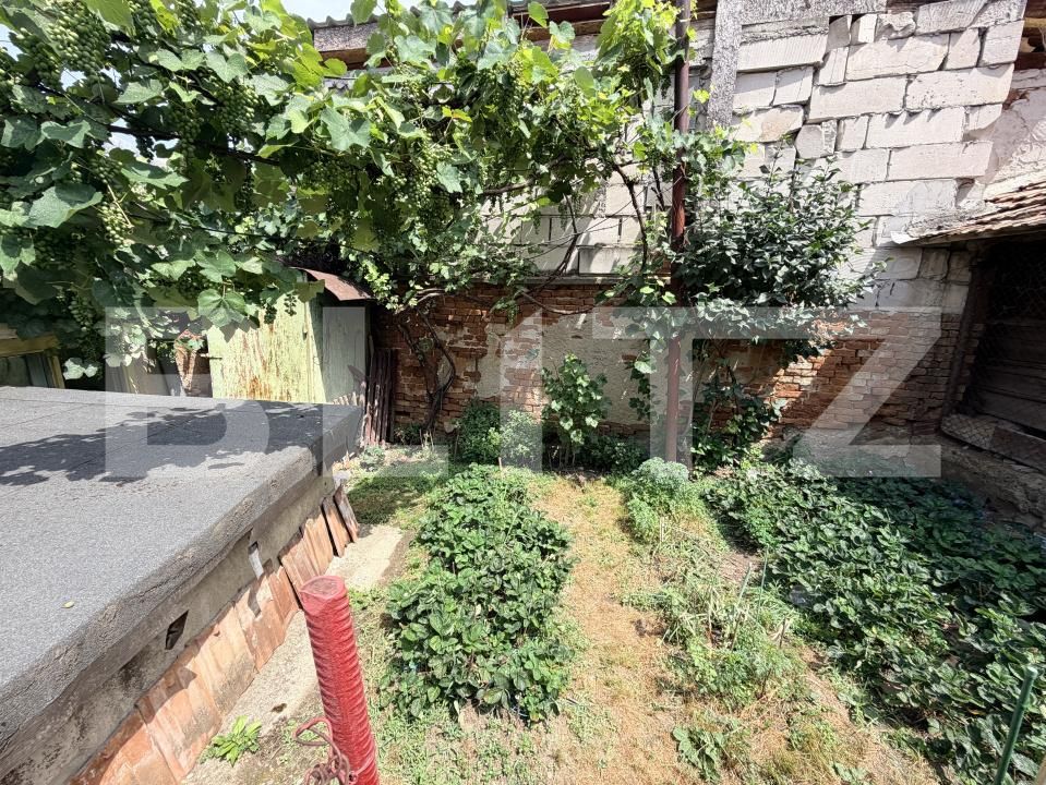 Casa de vânzare 4 camere Cugir - 199748CV | BLITZ Alba Iulia | Poza11