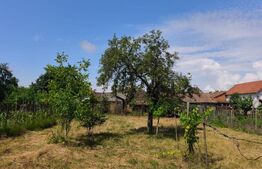 Casa cu teren de vanzare, 370 mp, zona Sibot