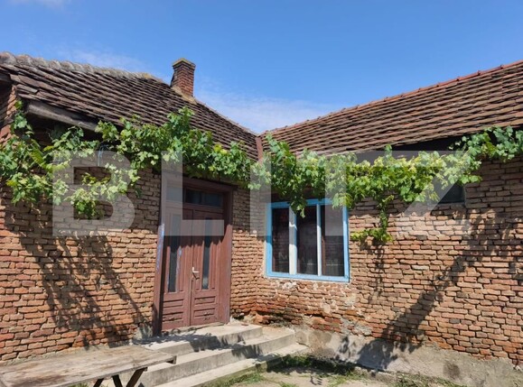 Casa de vânzare 3 camere Sibot - 199883CV | BLITZ Alba Iulia | Poza2