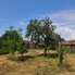 Casa de vânzare 3 camere Sibot - 199883CV - Poza 1 din 9 | BLITZ Alba Iulia | Poza3
