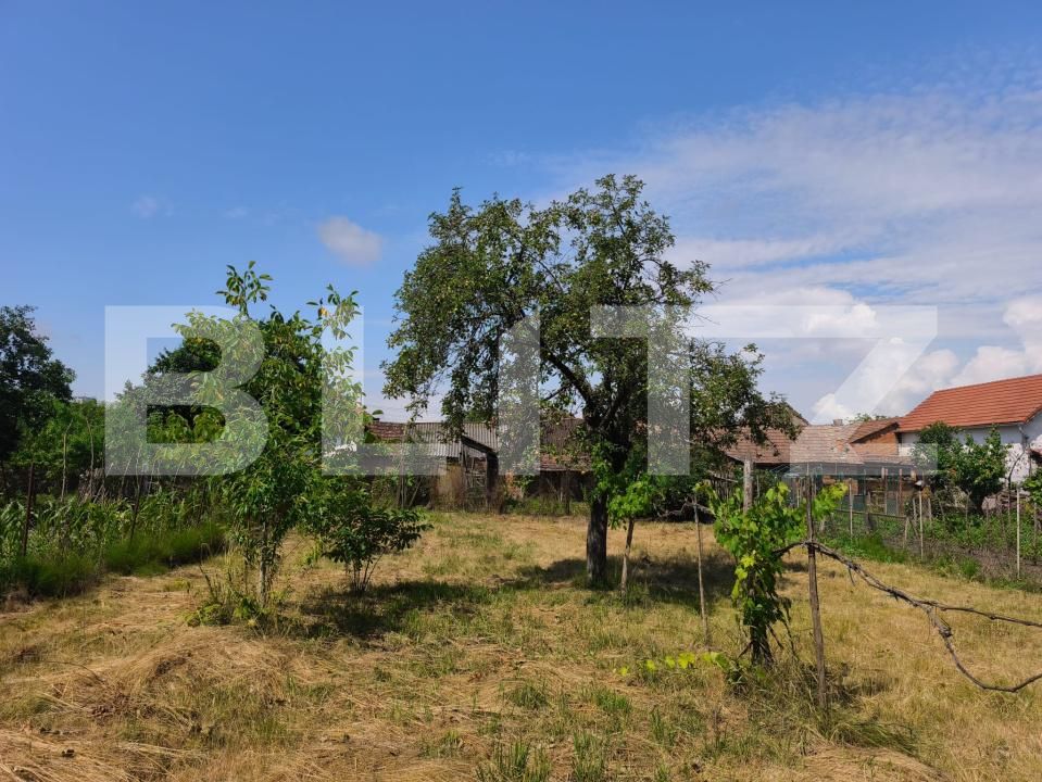 Casa de vânzare 3 camere Sibot - 199883CV | BLITZ Alba Iulia | Poza4