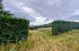 Teren intravilan, 478 mp, zona Micesti - partea cu padurea