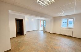 Apartament 2 camere, 50 mp, parter, complet renovat, zona Cetate-Liceul Sportiv