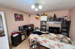 Casă cu teren, 100 mp, multiple posibilități de investiție –Vintu de Jos, Alba